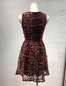 Embroidered Mesh Dress